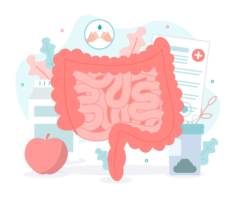 5.29世界腸道健康日 5.29世界腸道健康日