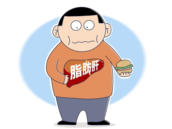脂肪肝需重視 脂肪肝需重視
